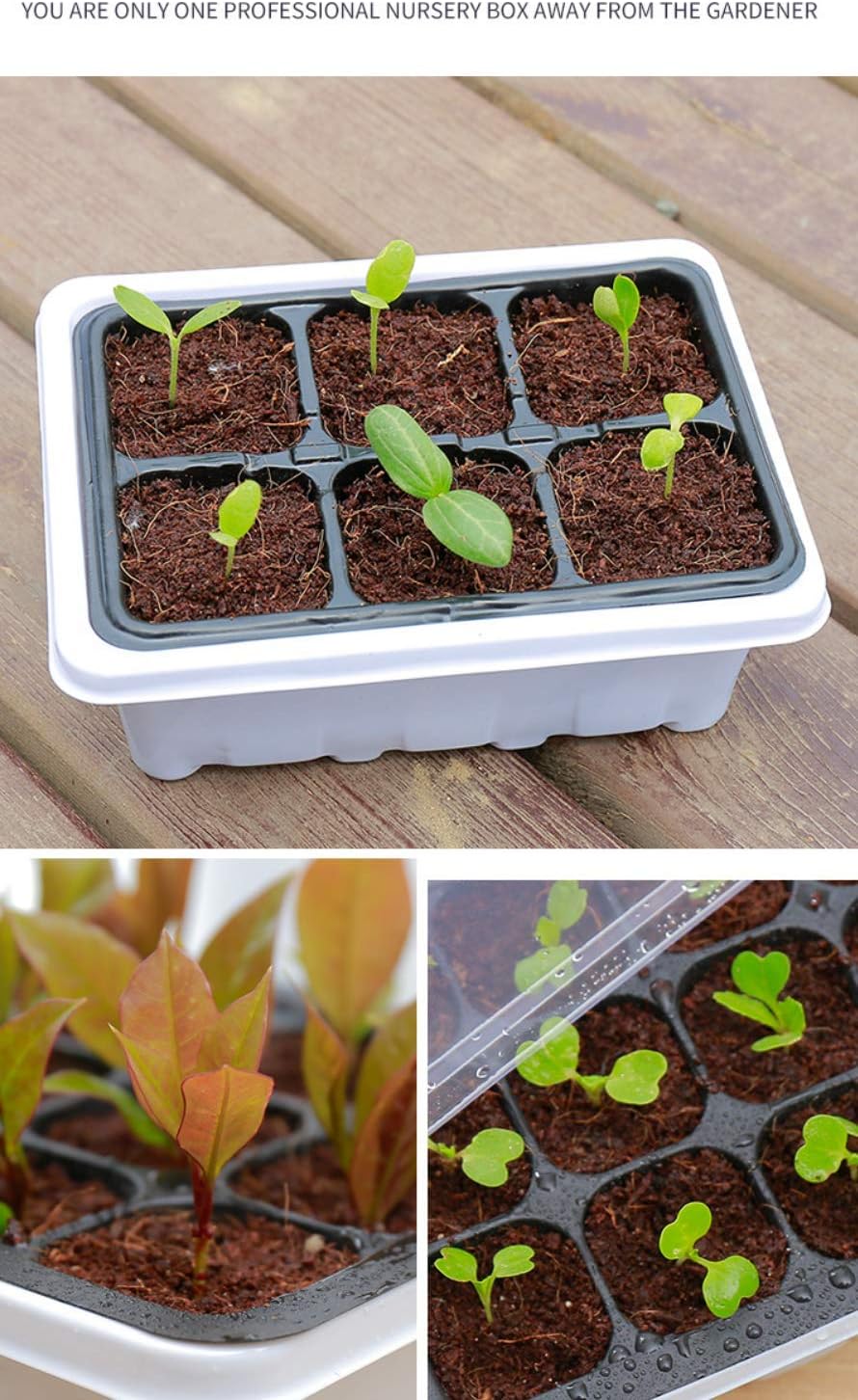 5 Pack Seed Trays with Lids 60 Cells Plant Germination Trays Sowing