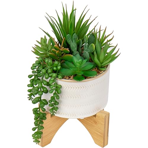 Artificial Succulents Plants Faux Succulents with Solid Wood Plant Stand Fake Succulent Plants in Ceramic Pot Realistic Succulents Plants artificial for Home Table Bathroom Shelf Office Desk Decor