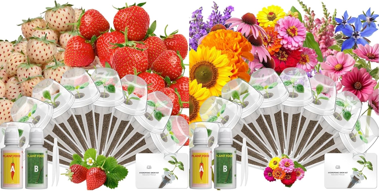 LYKOCLEAN 8 Pods Strawberry Seed Pod Kit and 8 Pods Vibrant Flower Seed Pod Kit, Compatible with Aerogarden, Gardencube, Ahopegarden, idoo, LETPOT Hydroponics Growing System