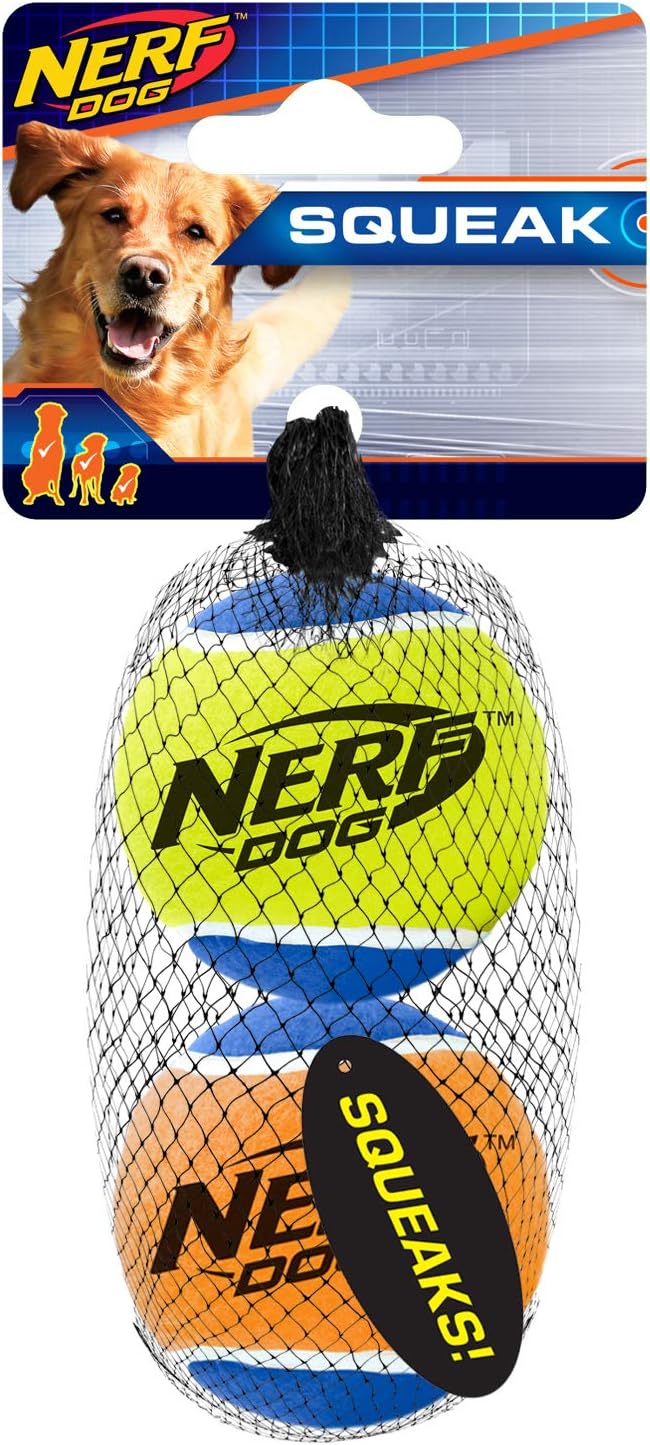 dog ate nerf ball