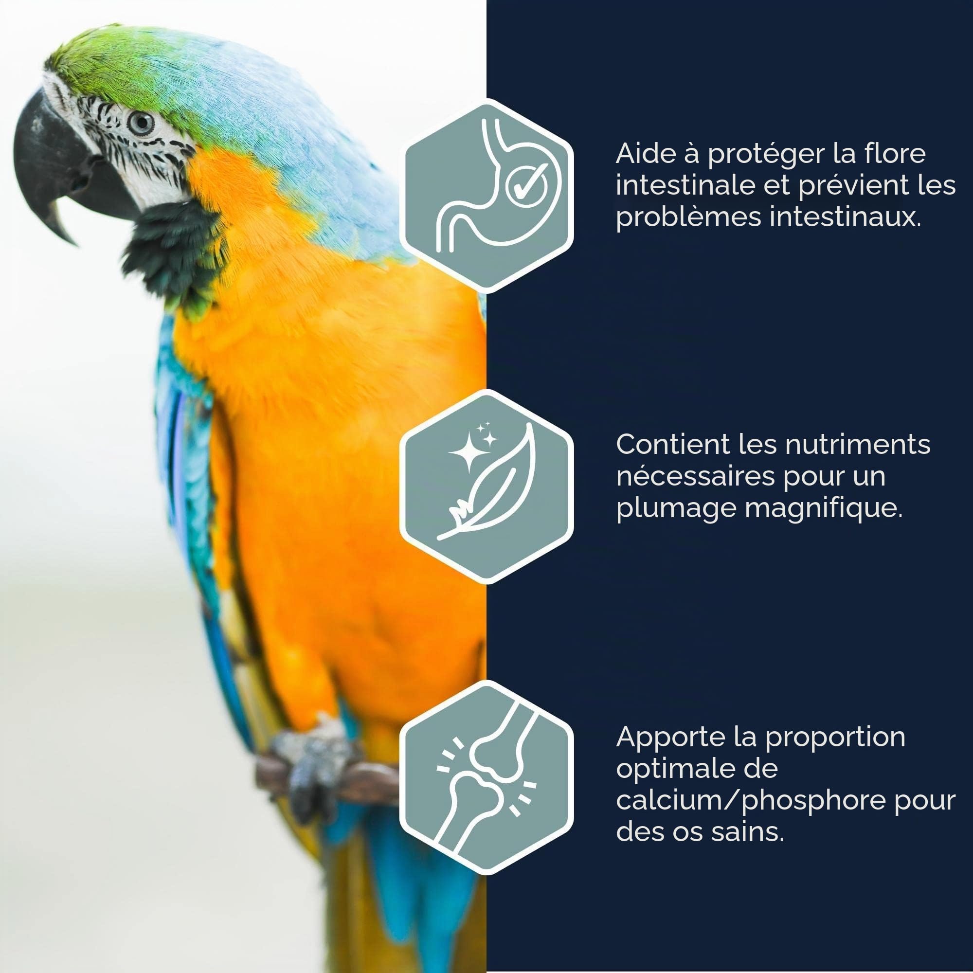 Versele-laga Nourriture pour Oiseaux Versele laga NUTRIBIRD P15 Tropical - AL NUTRIBIRD P15 Tropical 1K