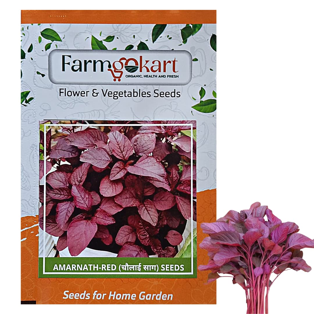 FARMGO 10 Gms AMARNATH - CHAULAI/KEERAI (RED) SEEDS, Vegetable Seeds for Home Gardening, Farming, Hydroponics and Poly Houses (B0BX6SWKW6) Amazon Price History, Amazon Price Tracker