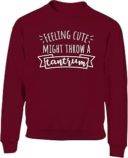 Hippowarehouse Feeling Cute Might Throw a Tantrum Kids Children's Unisex Jumper Sweatshirt Pullover