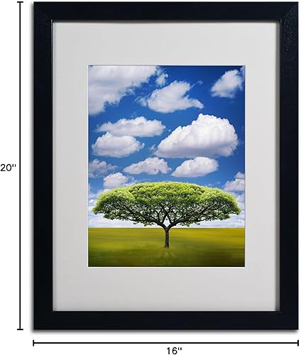 Miniatura 8 de Marca Fine Art improbable Espacio Abierto por Philippe Sainte-Laudy Canvas Wall Art