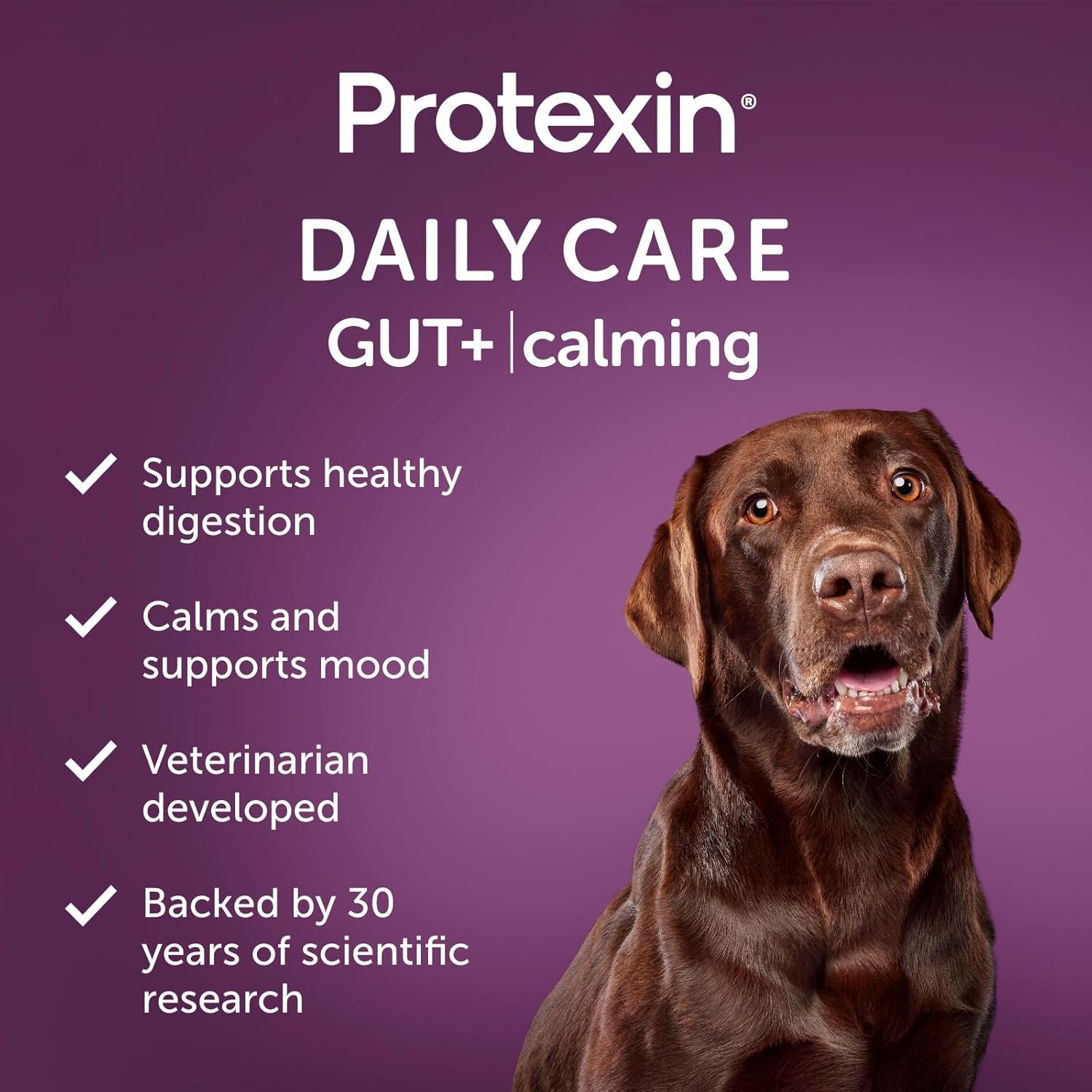 Protexin Daily Care Gut+ Calming | 60 Dog Chews, Trout and Kale Flavor Dog Supplement | Probiotics for Dogs, Dog Postbiotics