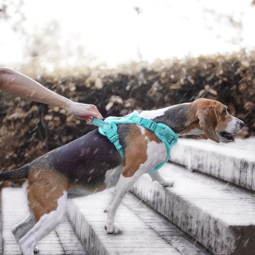 Miniatura 5 de PoyPet Arnés de felpa para perro, suave acolchado sin tirones, chaleco reflectante ajustable, a prueba de escapes, con mango de fácil control para