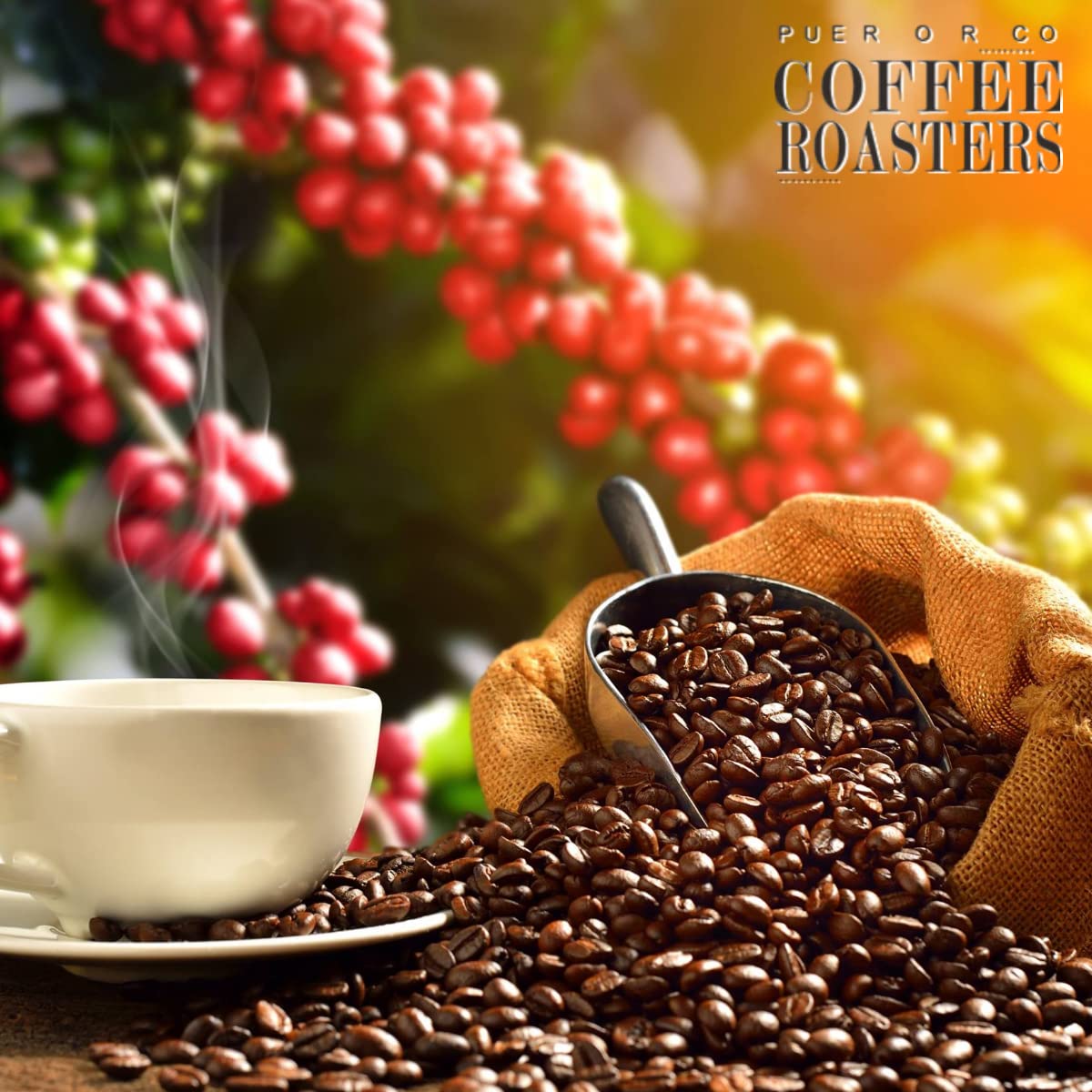 Yaucono, Cafe Crema, and Cafe Rico Ground Coffee from Puerto Rico Variety, 14 Ounce (Pack of 3)