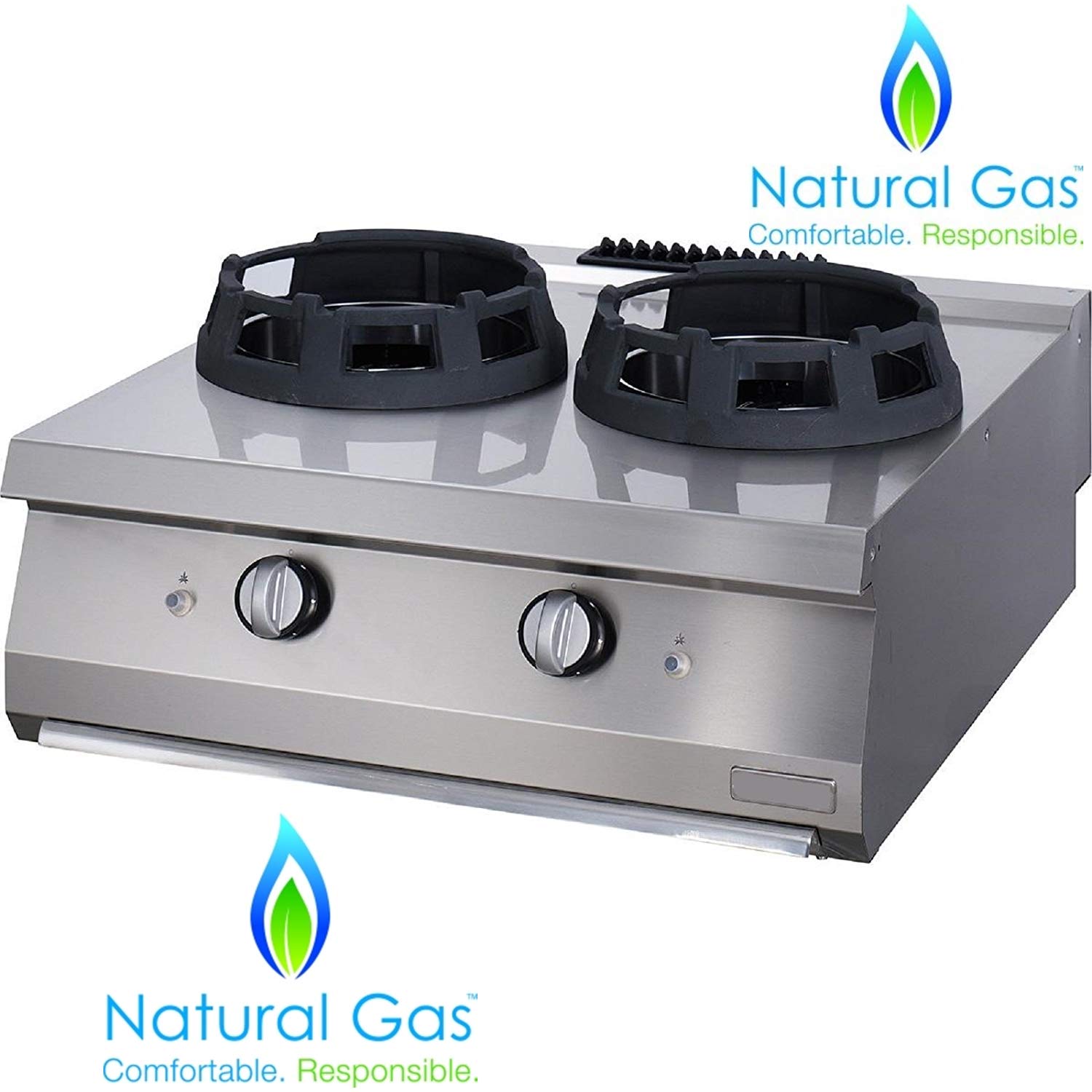 Buy PROFESSIONAL Stainless Steel Body DUAL Jet Burner Commercial Heavy