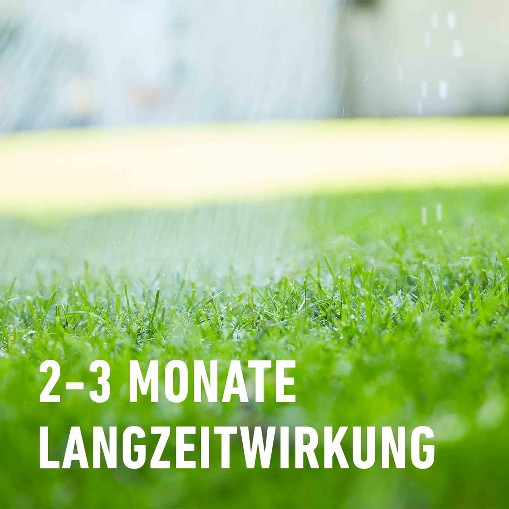 COMPO Rasendünger, Dünger mit 2-3 Monaten Langzeitwirkung, Feingranulat, 13 kg, 400 m²