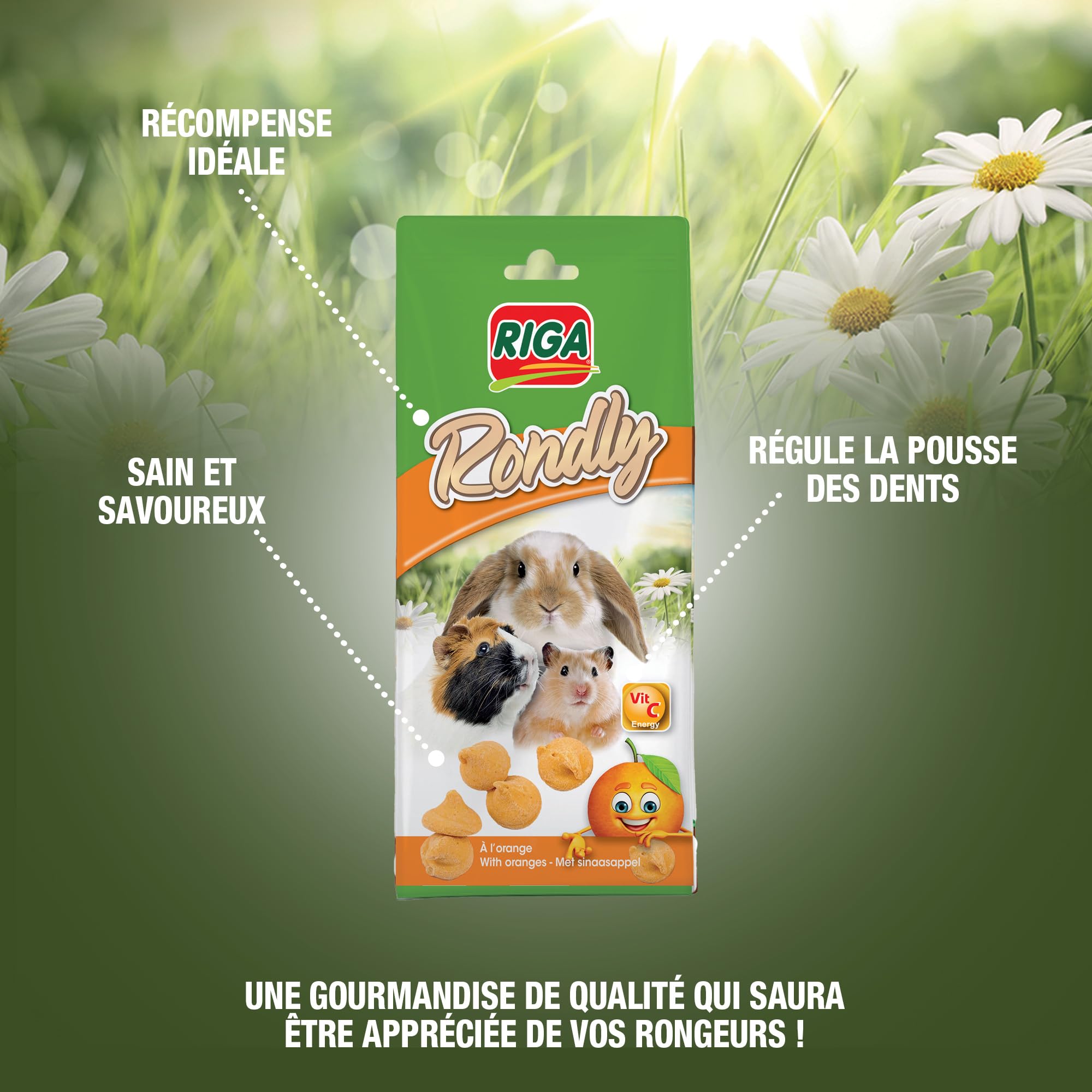 Riga - Rondly à l'Orange - Friandise Complémentaire pour Rongeur - A Base De Produits Laitiers - A l'Orange - Récompense Idéale - Friandise Croquante Et Savoureuse - 125 g