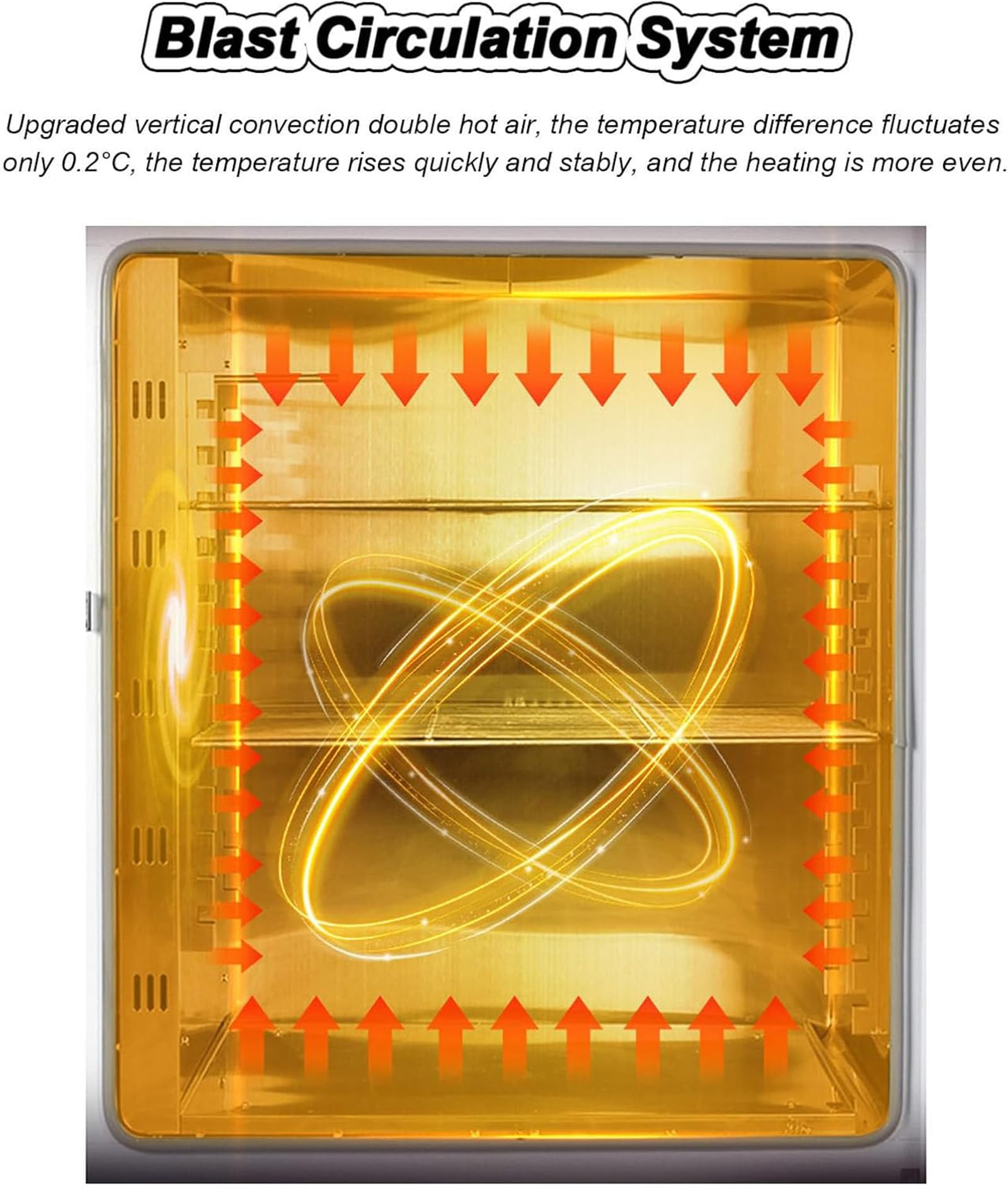 Horno de secado al vacío para laboratorio e investigación científica, calefacción eléctrica con temporizador y temperatura constante para polen de abeja y diversas aplicaciones