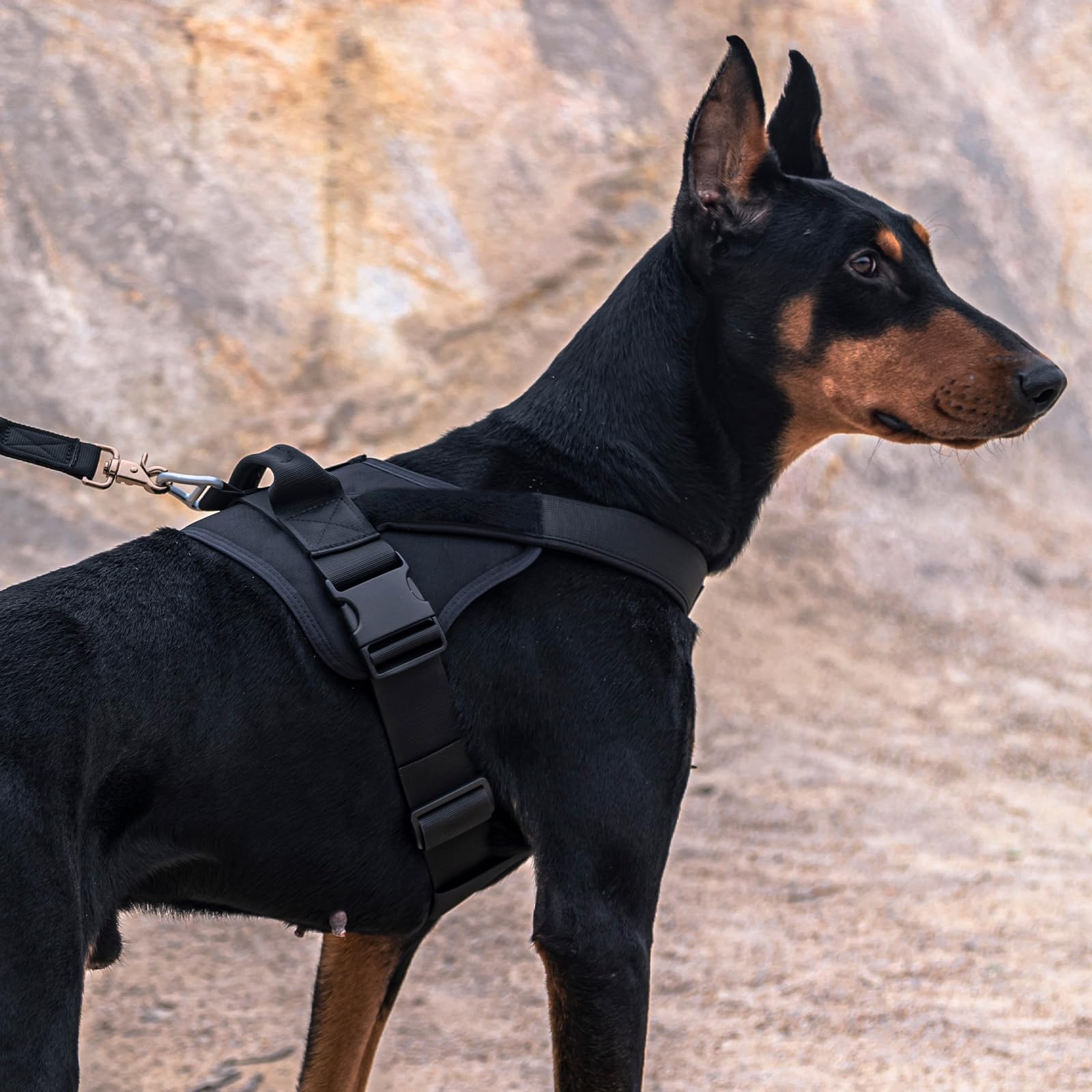 Excelente Elite Spanker Tactical Nylon Ajustable K9 perro arnés entrenamiento patrulla servicio chaleco para perro grande / pequeño