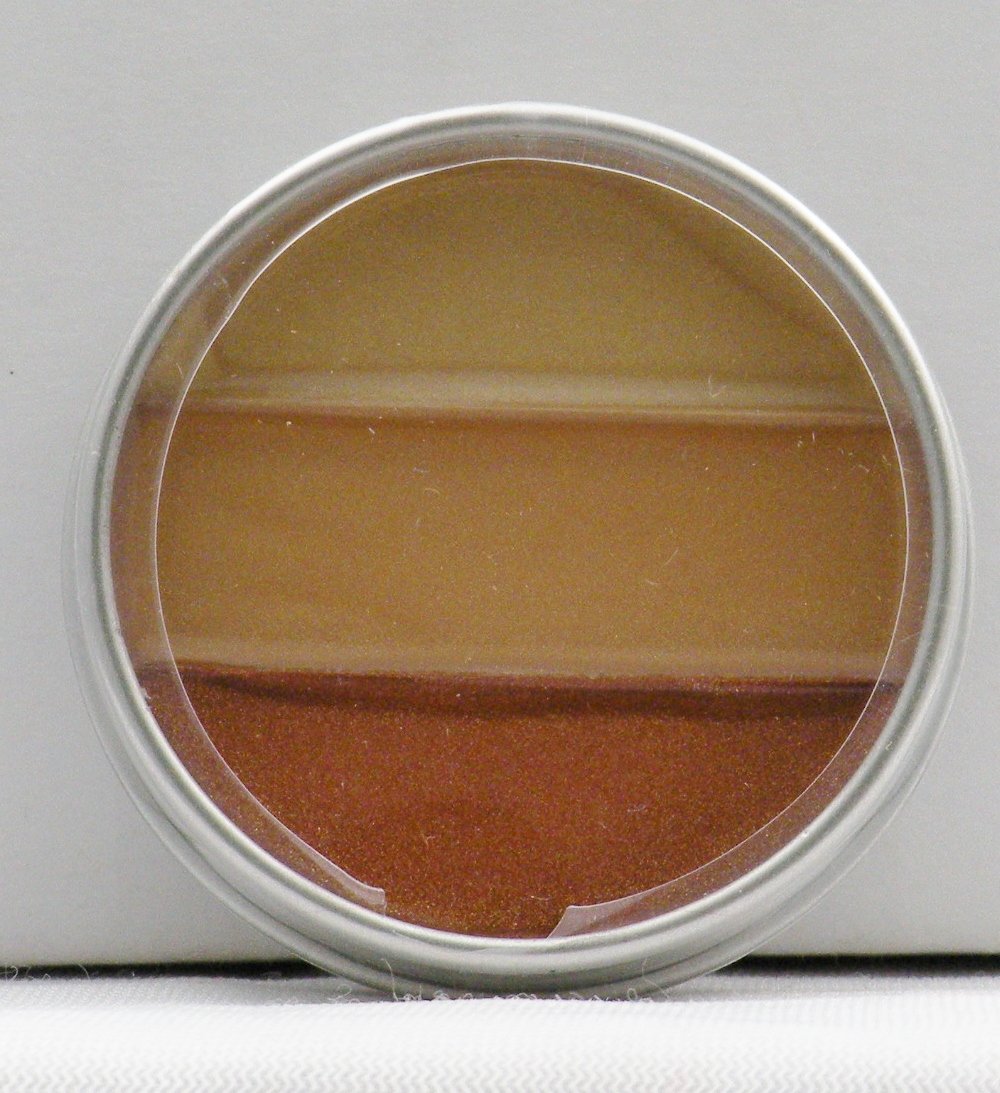 Mary-Kate and Ashley& Lip Gloss - Autumn Gold 70745