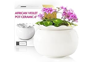 African Violet Self-Watering Ceramic Pots - Cultivate Indoor Plant Care Convenience