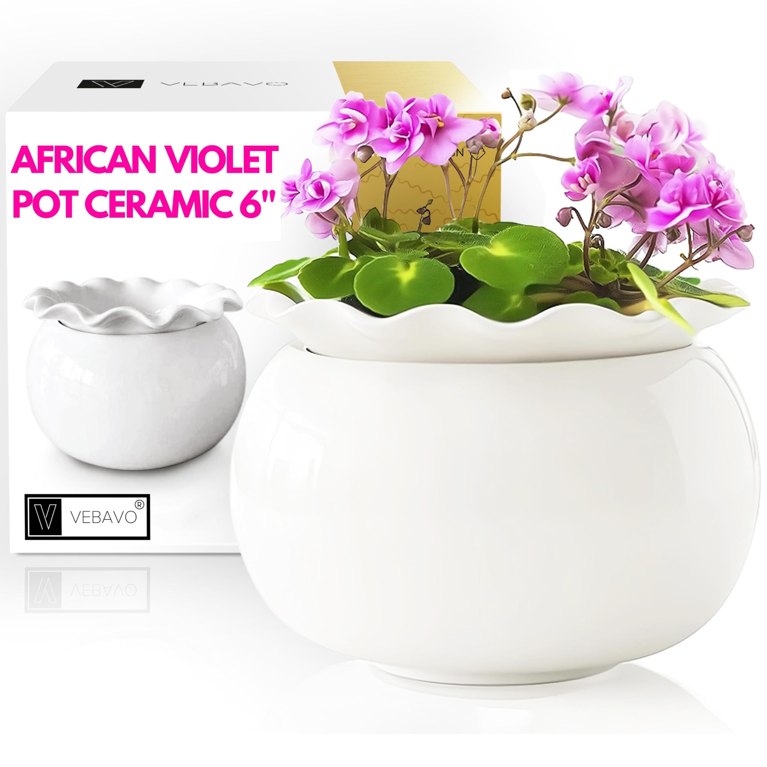 African Violet Pots 6 Inches Ceramic, Effortless Self Watering Pots for Indoor Plants for Busy Plant Lovers, Easy Plant Self Watering Pot, Plant Pots, Flower Pot, Plant pots Indoor