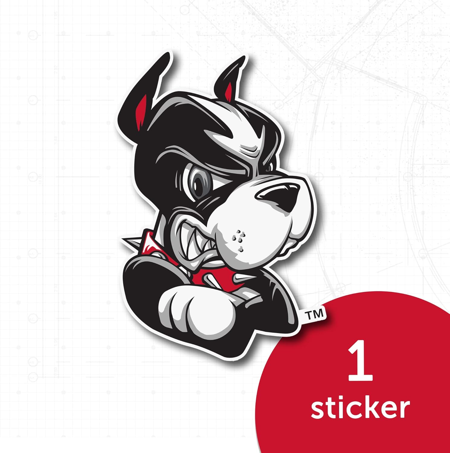 Desert Cactus Boston University Sticker Terriers BU Vinyl Decal Laptop Water Bottle Car Scrapbook (IND 17) - Image 5