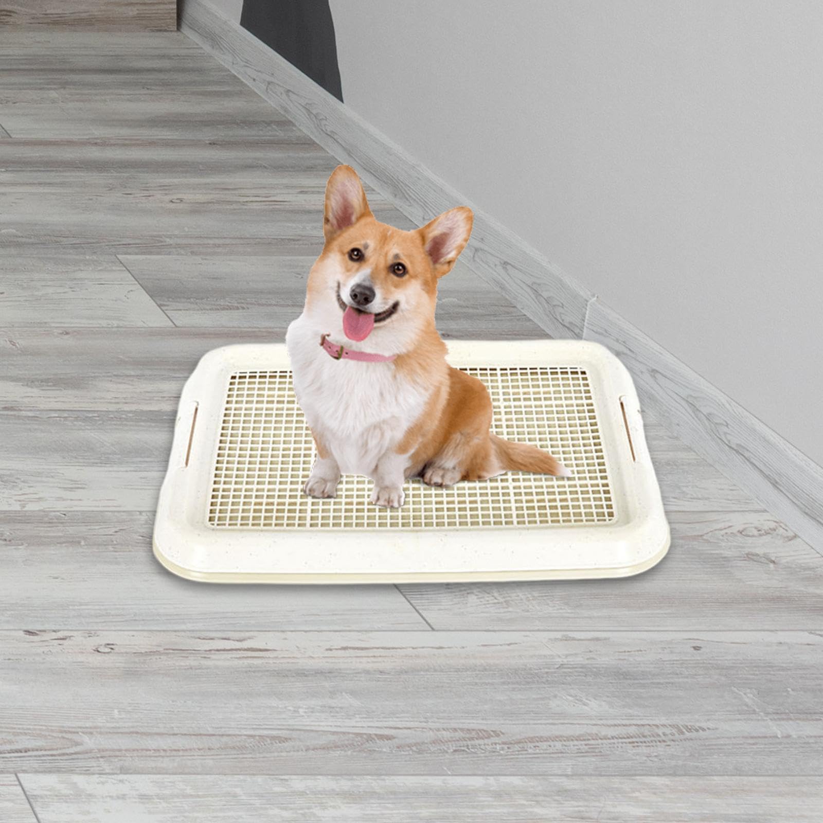 rockible Plateau d'entraînement aux Toilettes pour Chiens, Support de Coussinets d'intérieur pour Animaux de Compagnie, entraîneur de Pot d'intérieur pour, Blanc