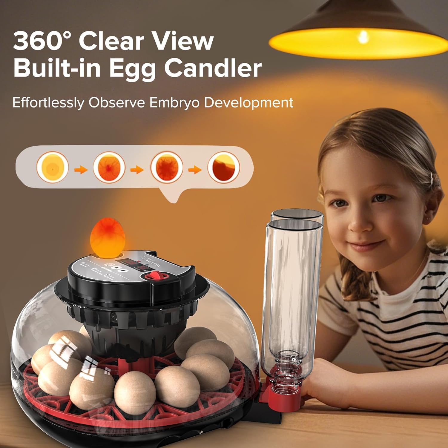 Incubadora Huevos Gallina, Incubadora Automática de 12 Huevos, Volteador Automático de Huevos, Control de Temperatura y Humedad, Visualización de 360° para Huevos de Pollo, Pato y Codorniz