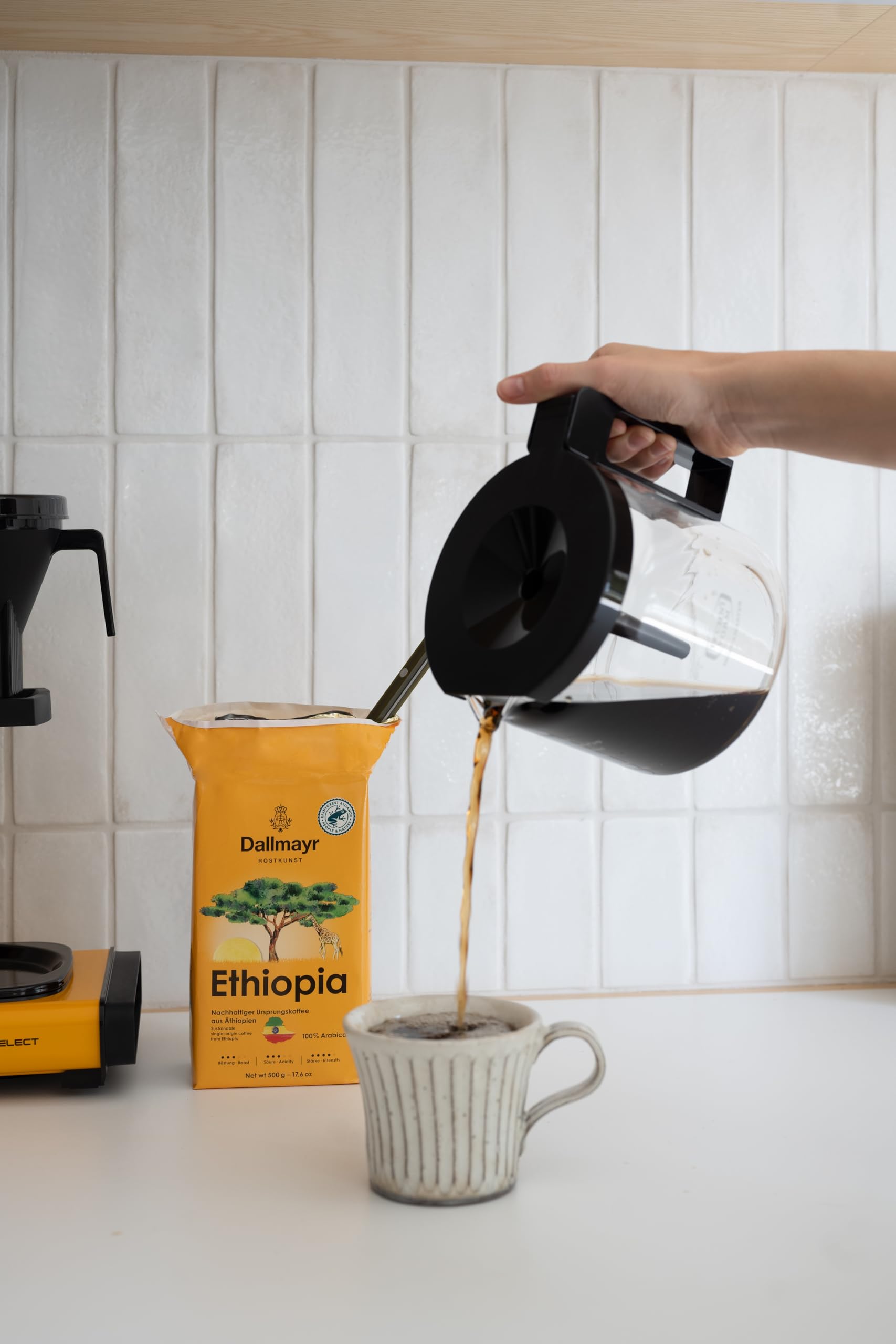Dallmayr Ethiopia 500g Gemahlen 100% Arabica Kaffee (Packung mit 3)