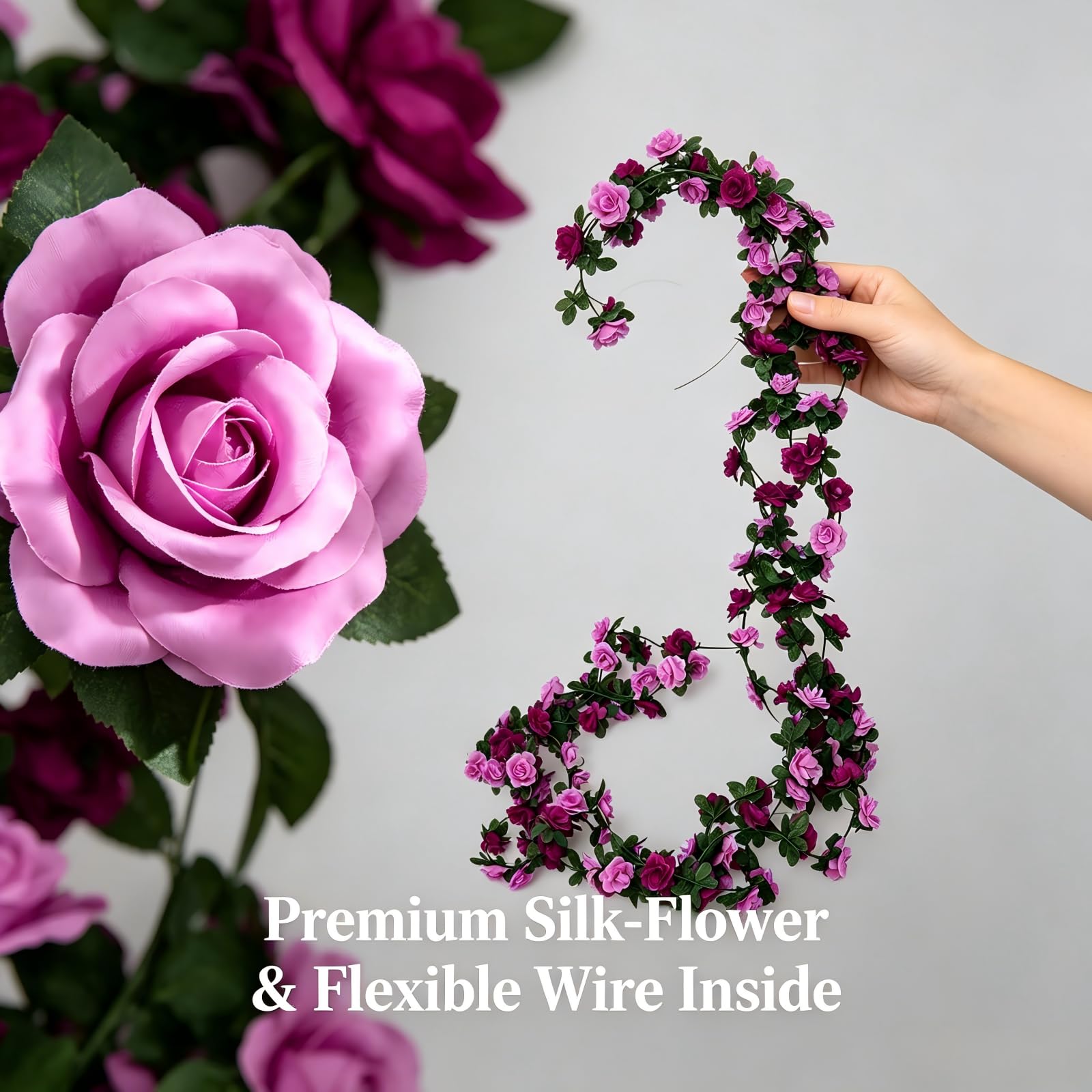 View 5
