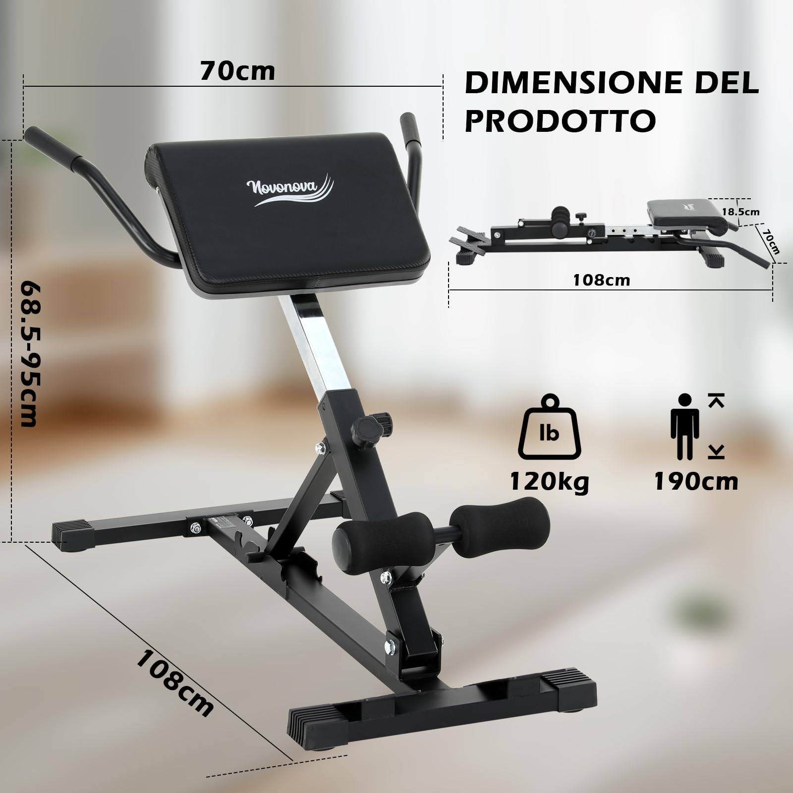 Panca Romana Multifunzione Pieghevole per Iperestensioni Addominali Schiena da Casa, Panca Pesi Regolabile Reclinabile 35°-55° per Allenamento, NV-5518
