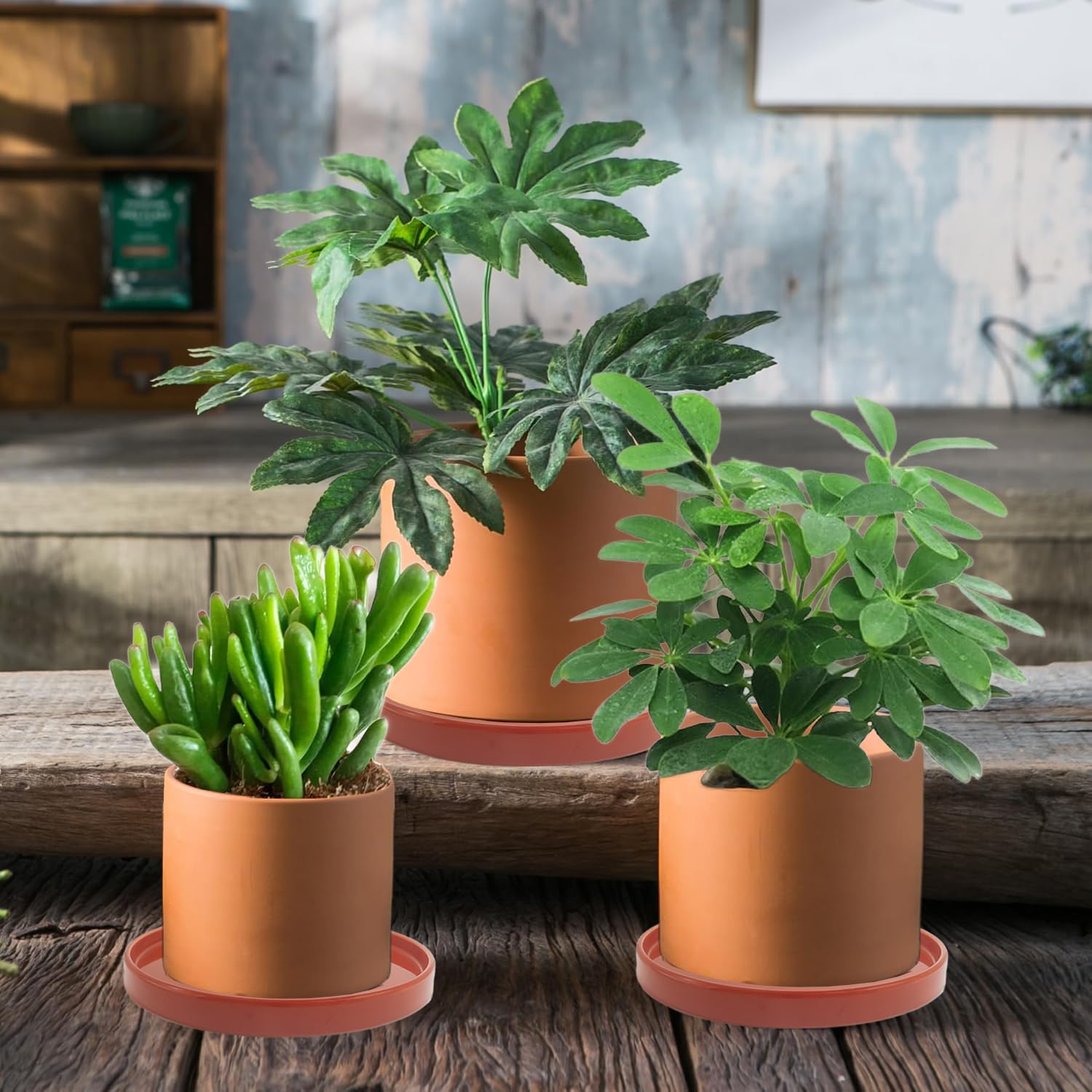 Amazon.com : Yukfona Ceramic Plant Saucer Pot Tray 10.7 Inch, Planter  Saucers 6 7 8 9 10 11 12 15 Inch, Durable Sturdy Flower Drainage drip Water  Tray for Glazed Pots Base (10.7Inch- Red Terracotta) : Patio, Lawn & Garden
