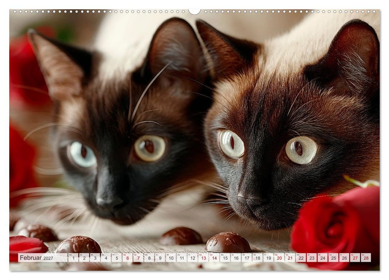 Katzen - Jeder Moment ein Abenteuer (hochwertiger Premium Wandkalender 2027 DIN A2 quer), Kunstdruck in Hochglanz: Chaos mit Charme (CALVENDO Tiere)