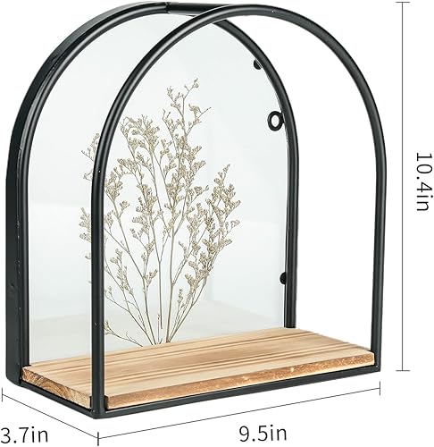 Miniatura 3 de Estantes flotantes montados en la pared, marco de metal negro con decoraciones creativas de especímenes de plantas, estante para especias, estante