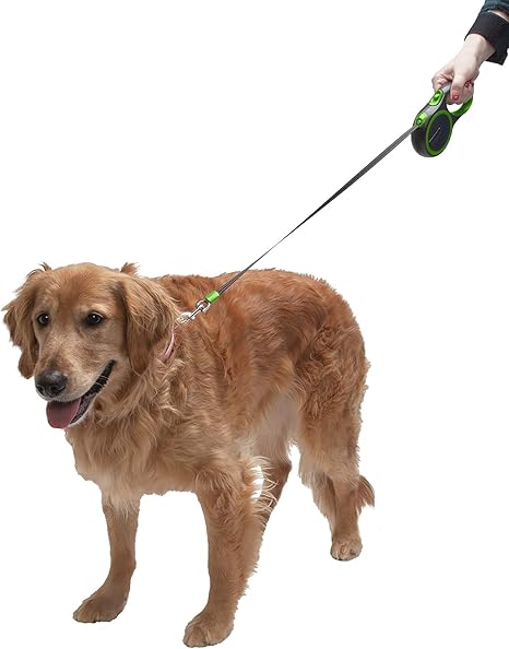 multiple dog leash retractable