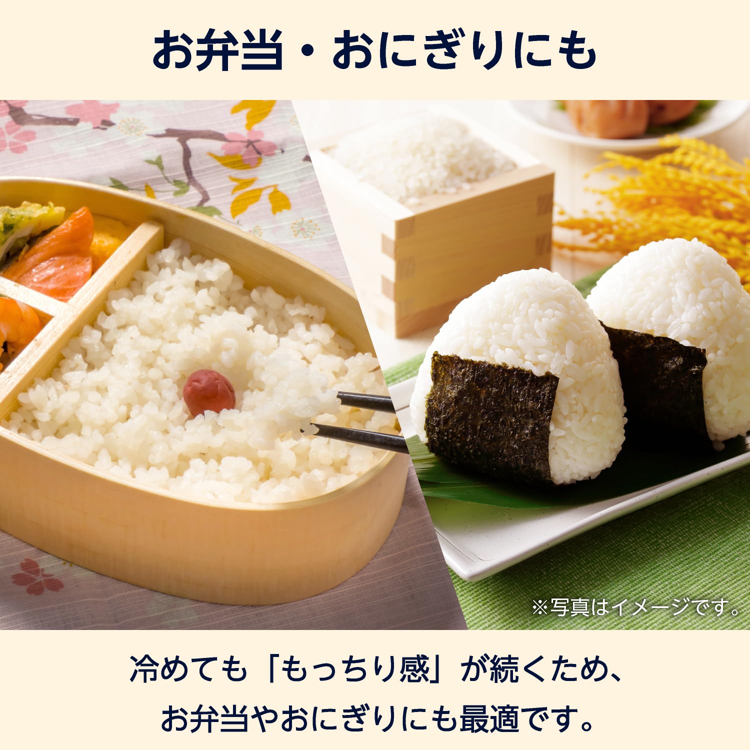 Amazon.co.jp: 
