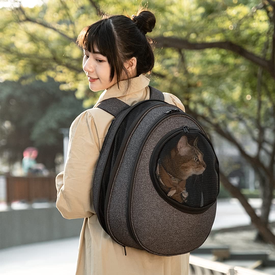 Amazon | ハウスモール リビング(Housmall Living) EGGYリュック Amazon | ハウスモール リビング(Housmall Living) EGGYリュック