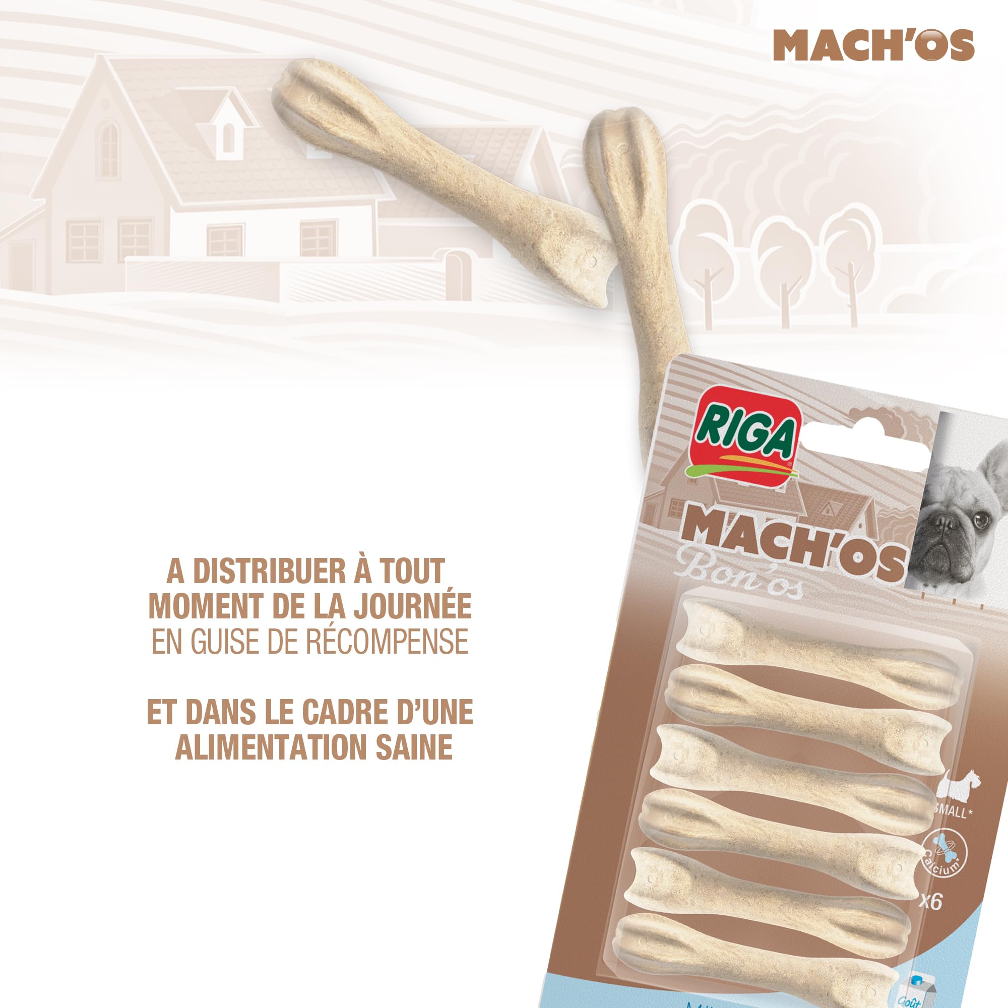 RIGA - Mach'os - Bon'os pour Chien S - Riche en Protéines Et Calcium - Hygiène Buccale - Mastication Et Récompense - pour Petit Chien - x 6