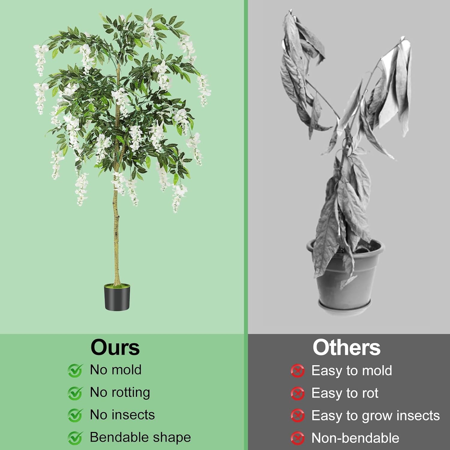 6FT Ficus Tree Artificial Indoor Tall Faux Wisteria Tree in Nursery Pot Fake Potted Tree with Blooming White Flowers and Real Wood Trunk for Home Office Living Room Decor