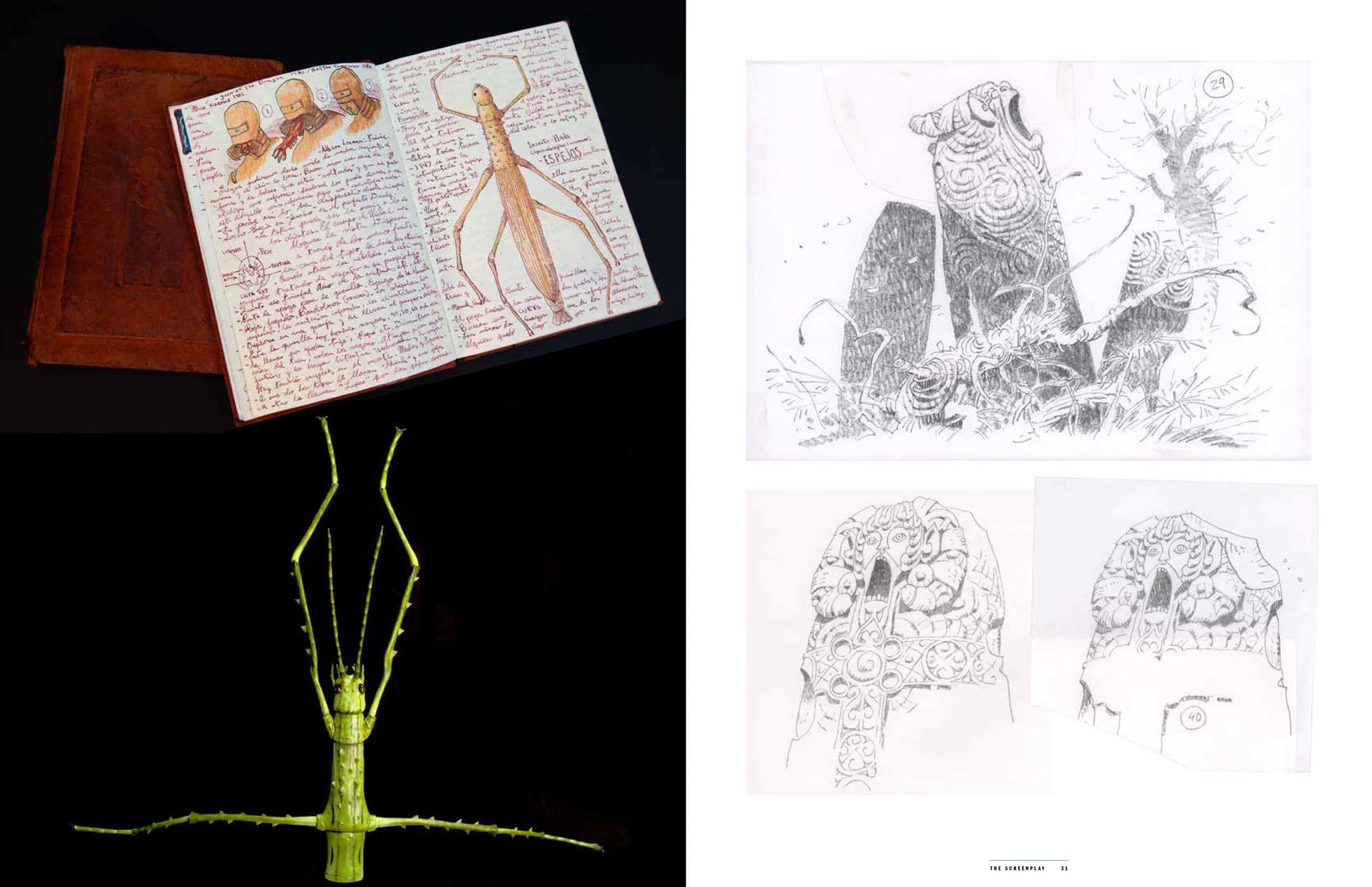 Pan's Labyrinth: The Complete Screenplay: Written and Directed by Guillermo del Toro