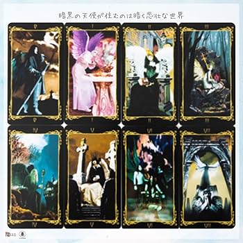 Amazon.co.jp: I.I.J タロットカード ダーク・エンジェル