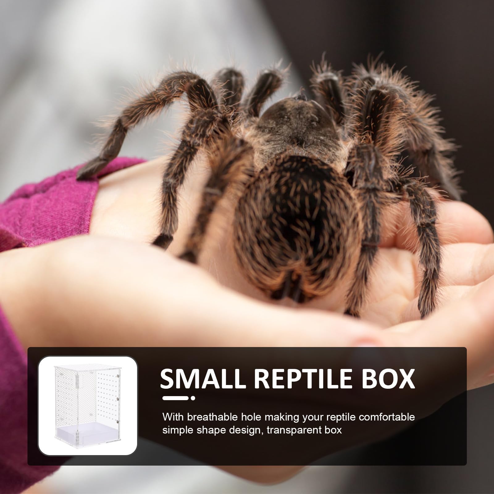 Caja de Acrílico para Cría de Reptiles Orificio Transpirable Blanco