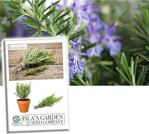 Miniatura 1 de Semillas de romero para plantar, más de 100 semillas de reliquia por paquete, semillas de jardín de Isla (semillas de jardín de Isla), semillas sin