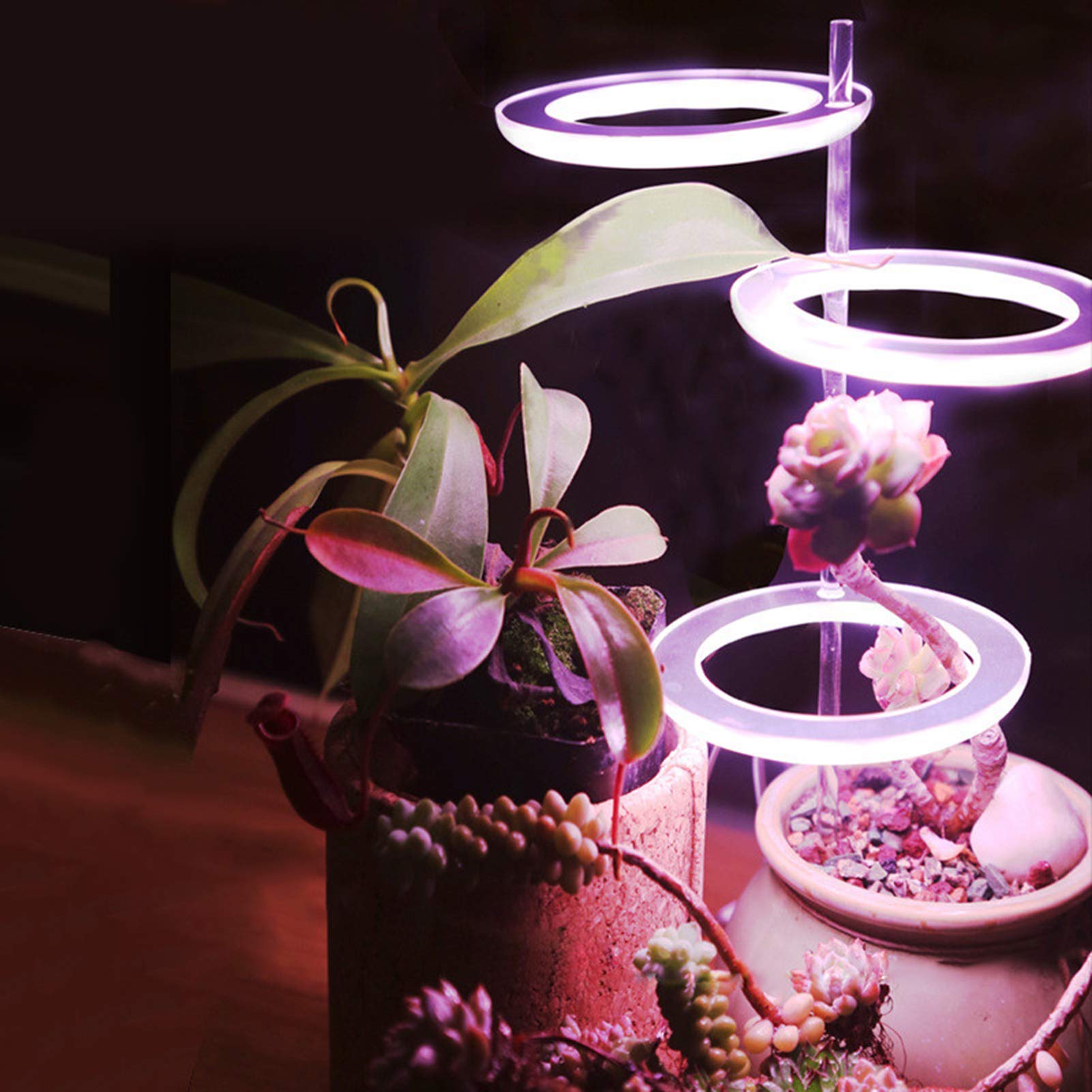 grow ring light
