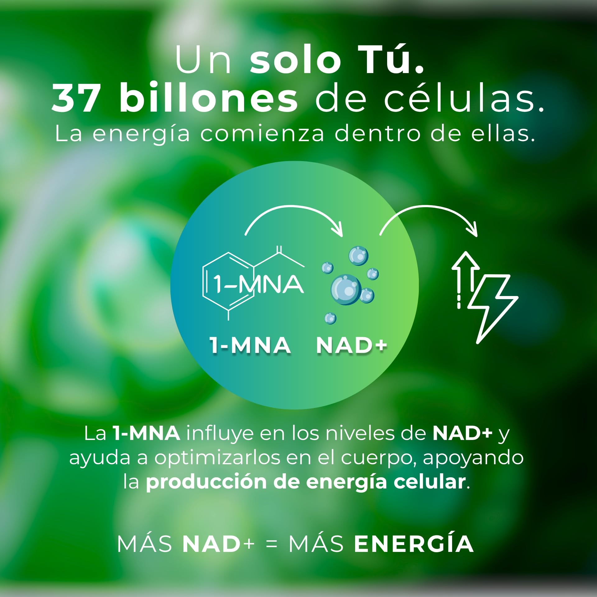 Vegan 1-MNA, NAD+ Optimizador, Antiedad, Vitaminas y Minerales para Mujeres y Hombres con D3, K2, B2, B6, B12, Ácido Fólico, Zinc, Hierro, Yodo, Selenio, Cansancio y la Fatiga, 30 Cápsulas