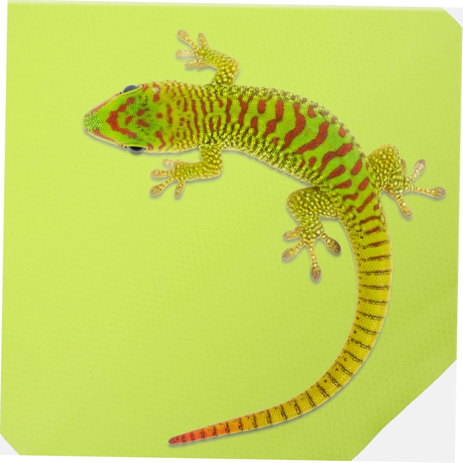 Reptile Carpet Mat for Terrarium Bedding Suitable for Lizards Snakes Tortoises and Geckos Easy to Clean Reptile Tank Accessory