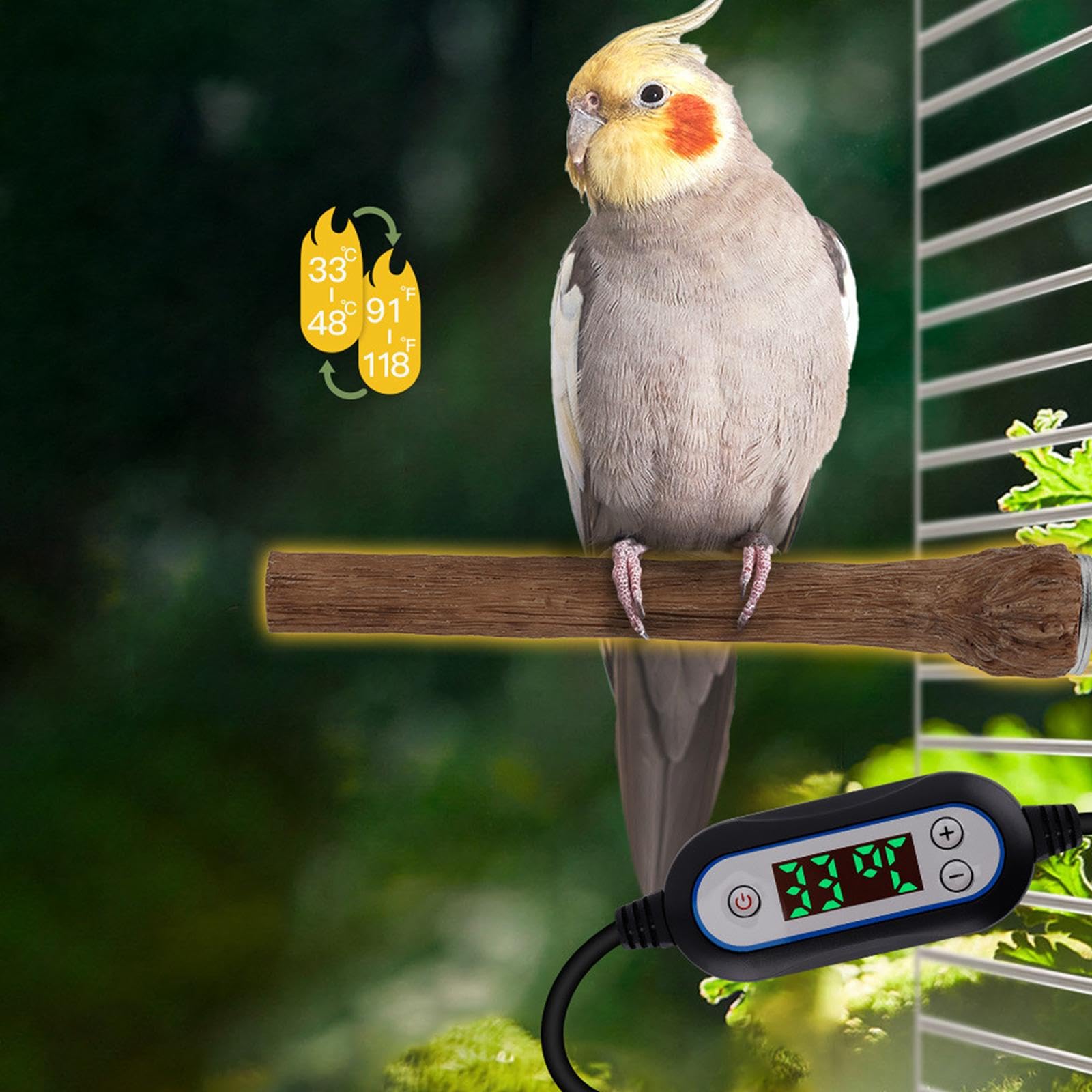 Vogelstange Beheizte Papageienstange Vogelwärmeplattform Anti Rohr Aus Edelstahl mit Einstellbarer Temperatur für Kleine Und Mittlere Ziervögel F