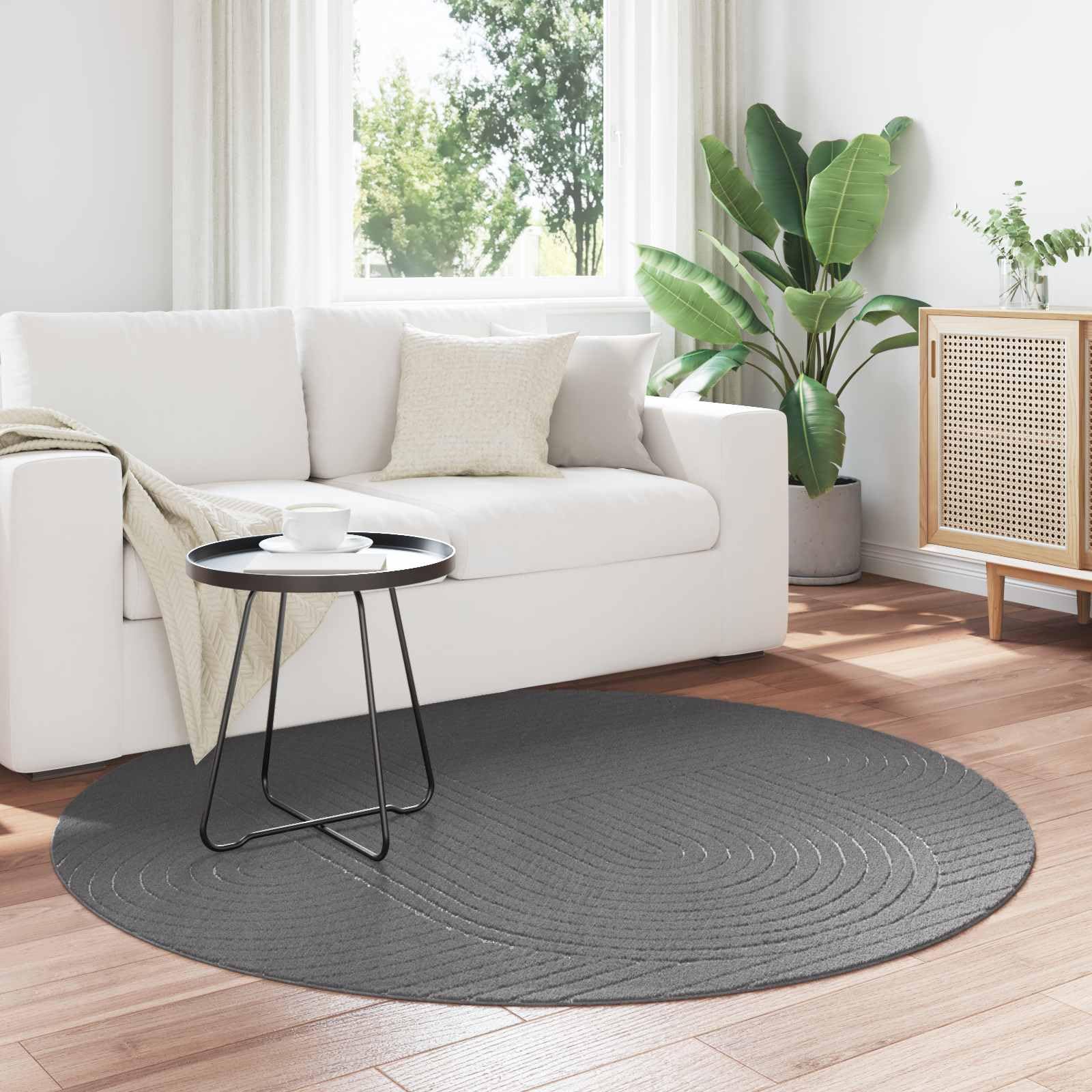 Tapis de Surface Rond PALMERAS Anthracite en Polyester 200 cm Ø Antidérapant Lavable pour Salon Chambre Couloir intérieur extérieur Doux Confortable Moderne