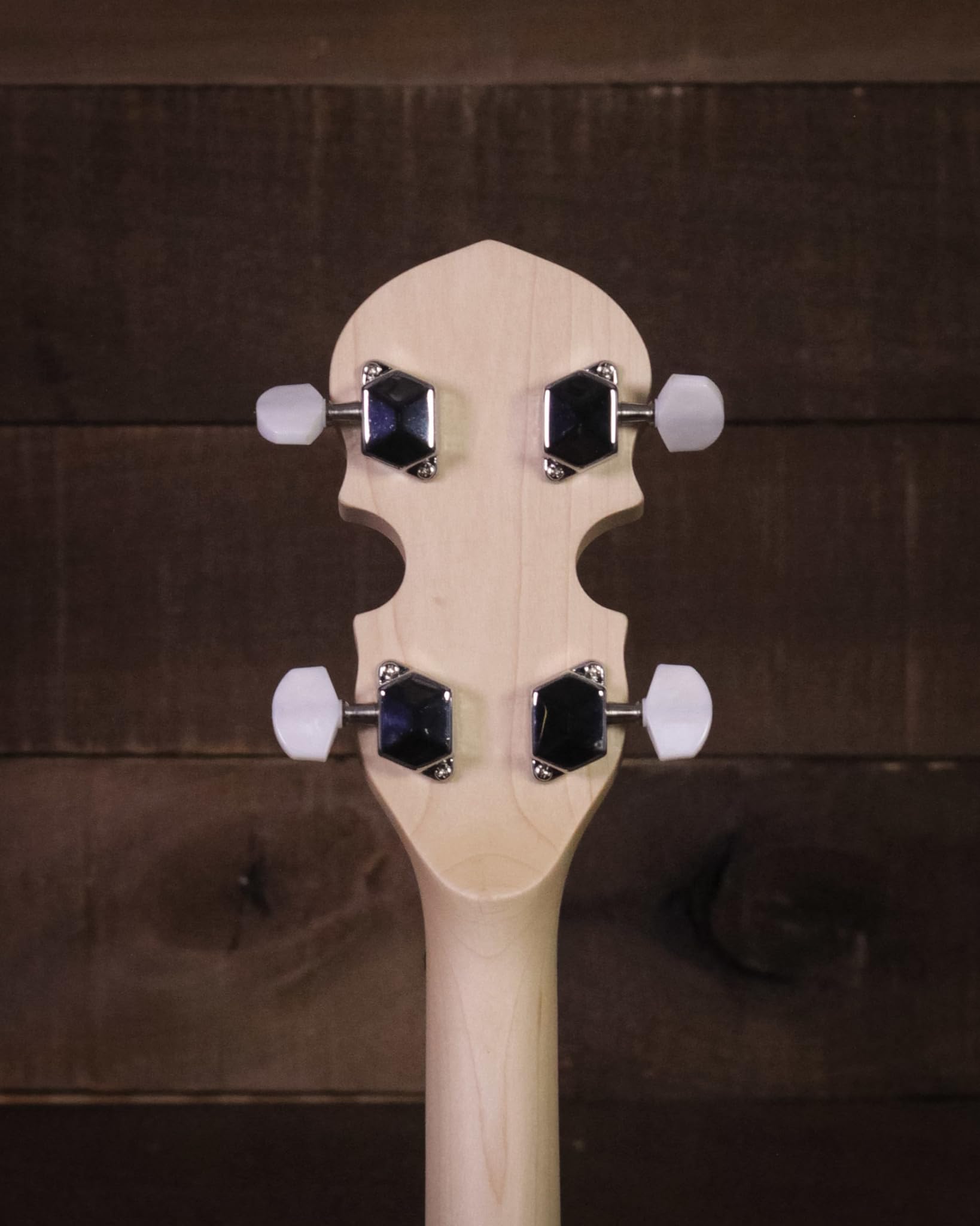 Gold Tone AC-5 Banjo 5-saitig inkl. Gigbag