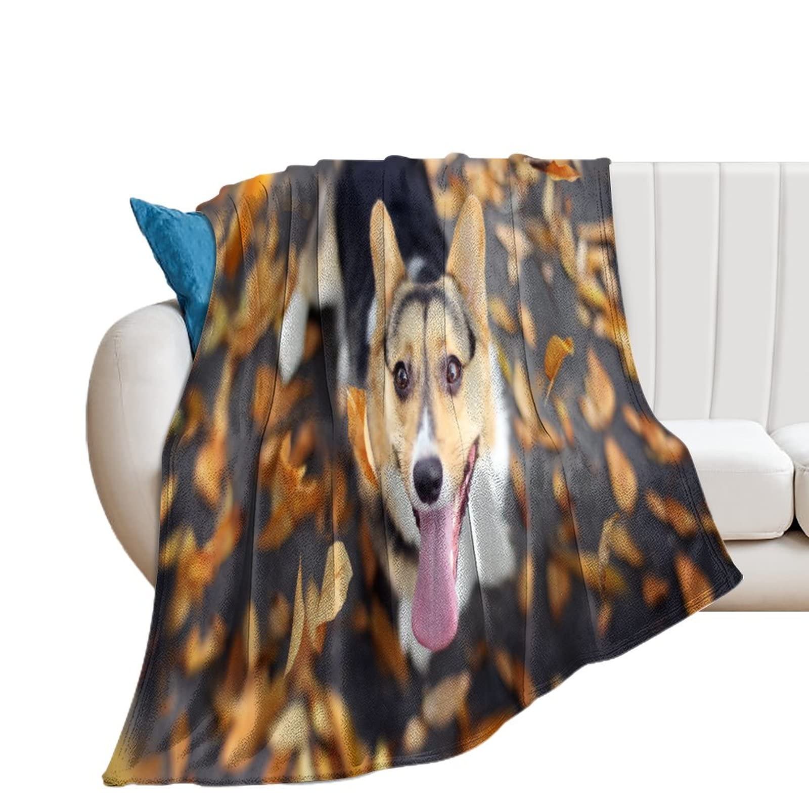 Couverture chien canapé en peluche lavable et jeté de lit anti-poils