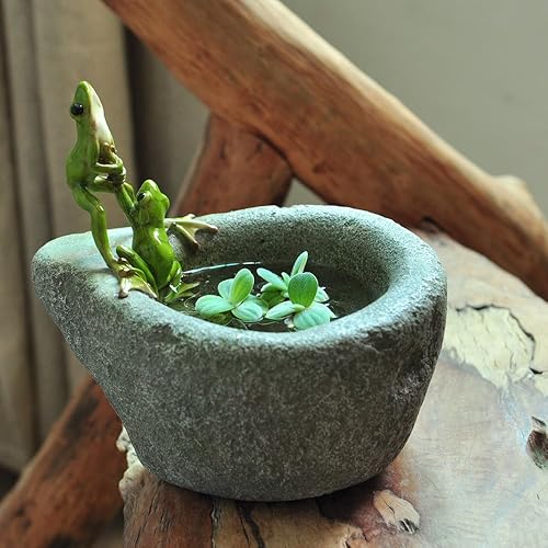 Miniatura 2 de Top Collection Jardín de hadas en miniatura y ranas de terrario en maceta de piedra funcional para suculentas, 6 pulgadas