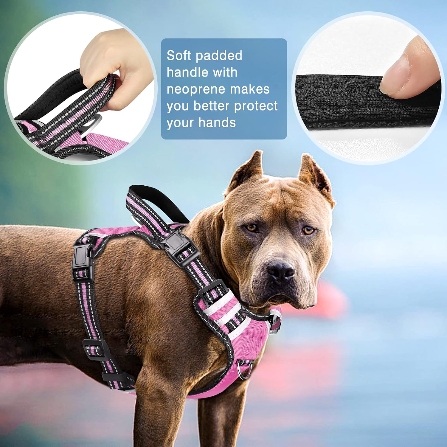 WINSEE Dog Harness No Pull, 4 Snap Buckles Pet Harness with 2 Leash Clips, Adjustable Soft Padded Dog Vest, Reflective Pet Oxford Walking Vest with Easy Control Handle, NO Need Go Over Dog’s Head