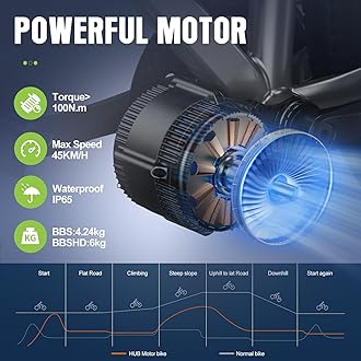 BAFANG 750W Mid Drive Kit,Mid Drive Ebike Conversion Kit Brushless Upgraded Motor with LCD Digital Display Chainring for Commuter Bike,Recumbent Trike,Mountain Bike,Cargo Bike
