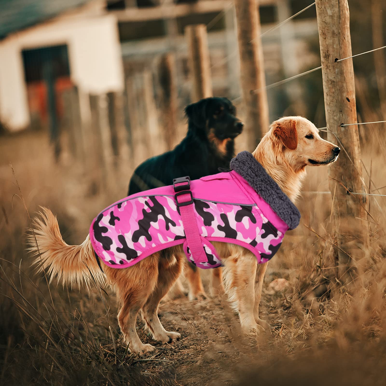 IECOii Abrigo extra cálido para perro, reflectante, ajustable, abrigo de invierno para perro con hebilla, chaqueta de forro polar con cuello alto para clima frío, abrigo de invierno suave para perros