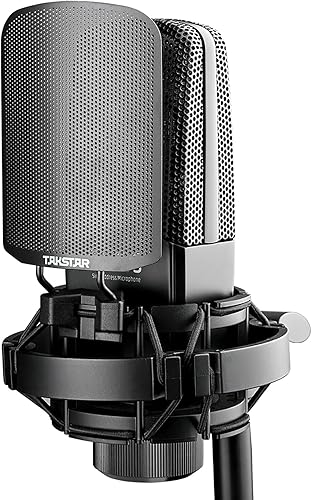 TAKSTAR Micrófono de grabación profesional, micrófono de diafragma de condensador XLR de 0.630 in con soporte antivibración, filtro POP para vocal,