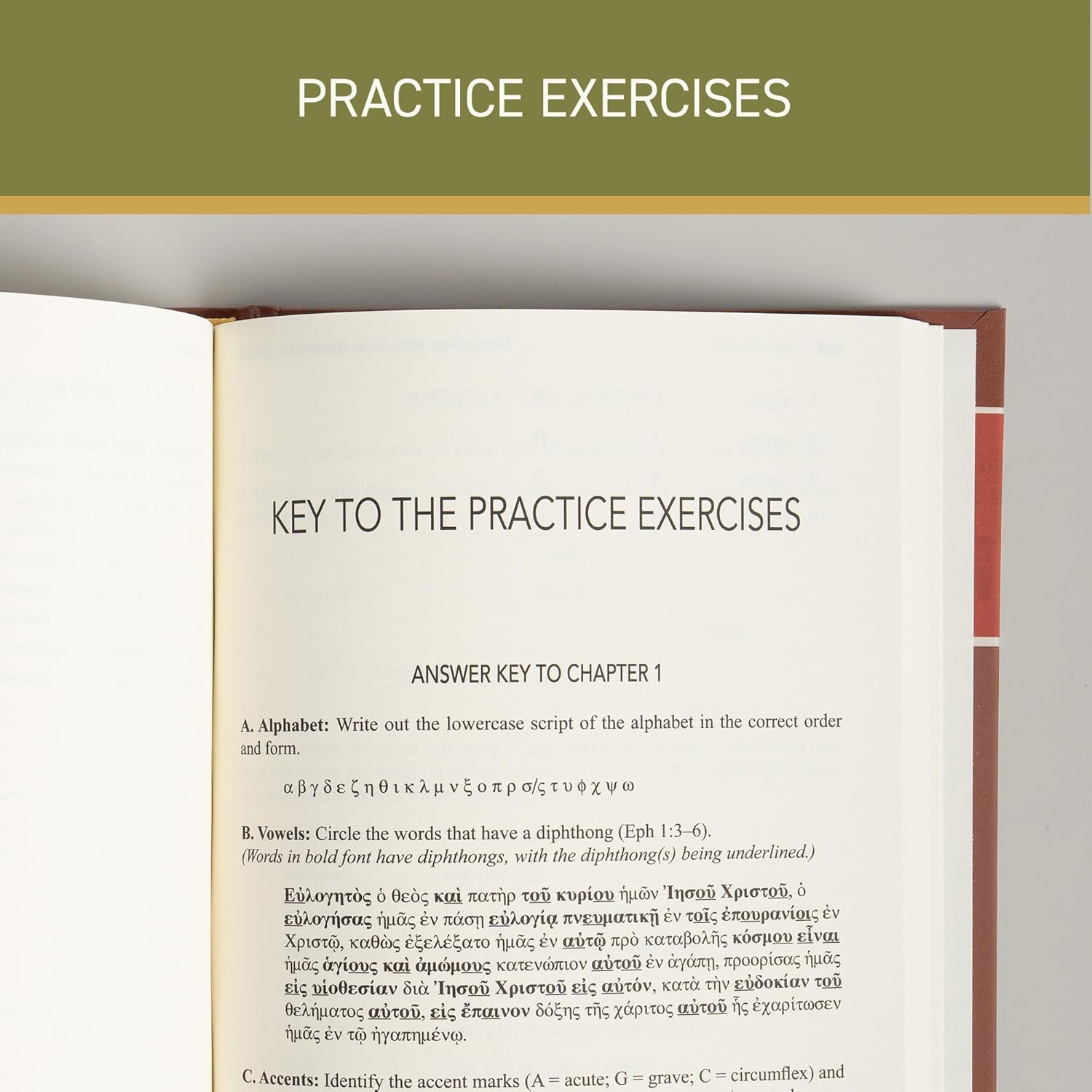 Beginning with New Testament Greek: An Introductory Study of the Grammar and Syntax of the New Testament - Image 4